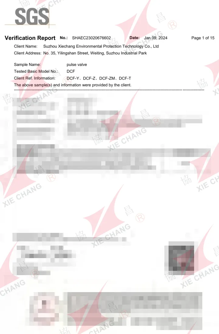 Xitoy RoHS tasdiqlash hisoboti — DCF solenoid impuls klapanlari